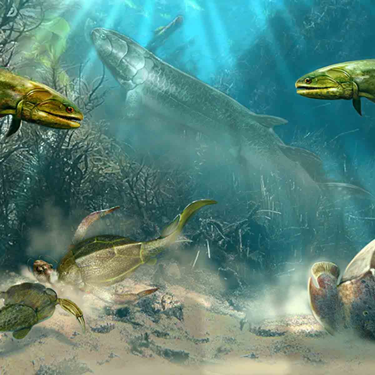 Early Vertebrate Development